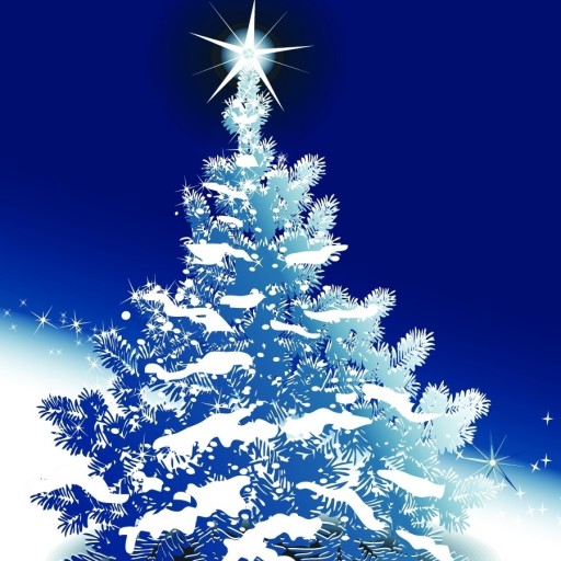 Rozsvícení vánočního stromu s prodejním jarmarkem 1